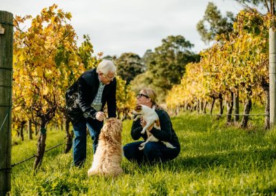 Cape Naturaliste Vineyard